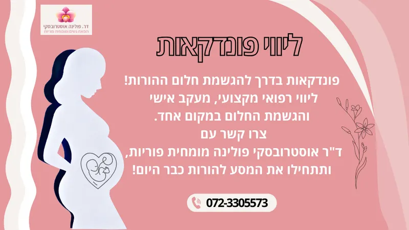 ליווי פונדקאות