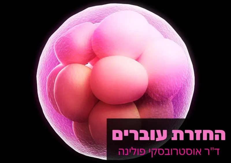 החזרת עוברים - ד"ר אוסטרובסקי פולינה