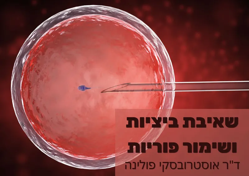 שאיבת ביציות ושימור פוריות
